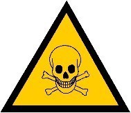 Vergiftungen Hund und Katz